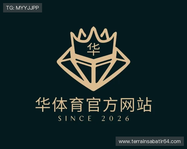 认识华体育官方网站